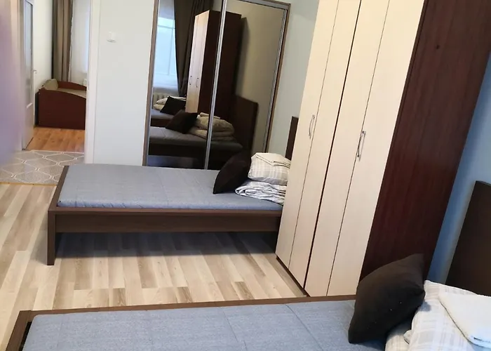 Laisves-taikos Vilna